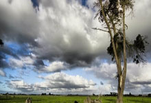 [球之夜]友谊杯：以球会友 共叙友谊.：NG28