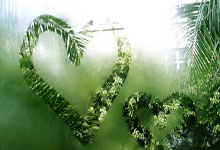 致敬奥纳纳？韩佳奇出击扑人被判犯规，奥纳纳类似动作逃过判罚.