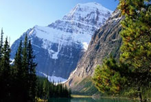 WCBA：山东赤水河酒女篮94-76福建女篮 提前锁定季后赛席位.